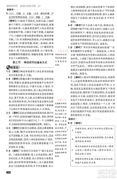 开明出版社2024年春初中必刷题七年级生物下册人教版答案 开明出版社2024年春初中必刷题七年级生物下册人教版答案