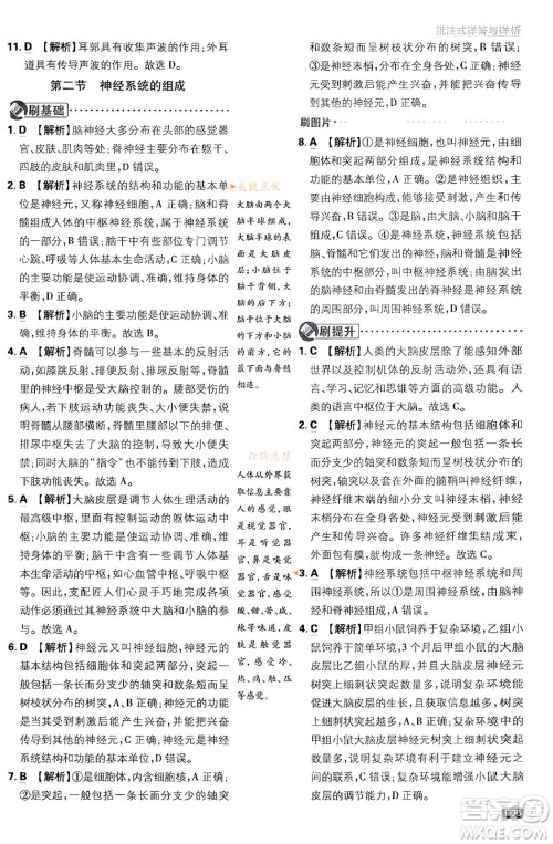 开明出版社2024年春初中必刷题七年级生物下册人教版答案 开明出版社2024年春初中必刷题七年级生物下册人教版答案