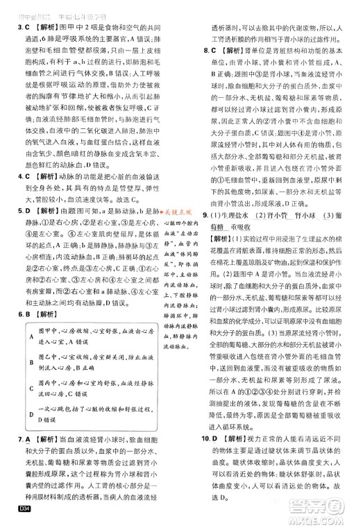 开明出版社2024年春初中必刷题七年级生物下册人教版答案 开明出版社2024年春初中必刷题七年级生物下册人教版答案