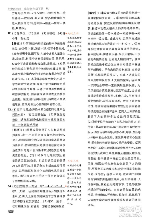 开明出版社2024年春初中必刷题七年级生物下册人教版答案 开明出版社2024年春初中必刷题七年级生物下册人教版答案