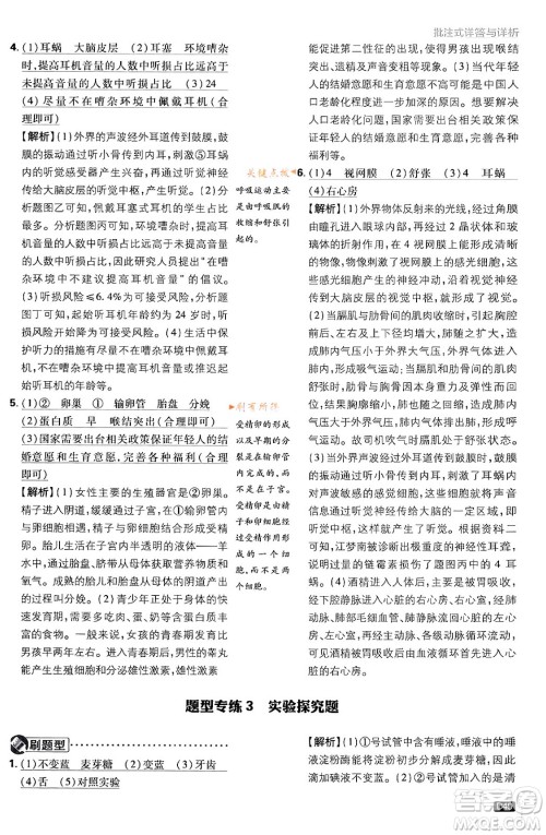 开明出版社2024年春初中必刷题七年级生物下册人教版答案 开明出版社2024年春初中必刷题七年级生物下册人教版答案