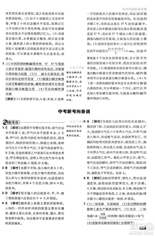 开明出版社2024年春初中必刷题七年级生物下册人教版答案 开明出版社2024年春初中必刷题七年级生物下册人教版答案