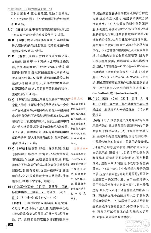 开明出版社2024年春初中必刷题七年级生物下册人教版答案 开明出版社2024年春初中必刷题七年级生物下册人教版答案