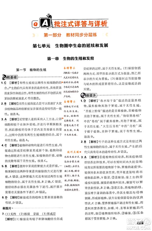 开明出版社2024年春初中必刷题八年级生物下册人教版答案 开明出版社2024年春初中必刷题八年级生物下册人教版答案