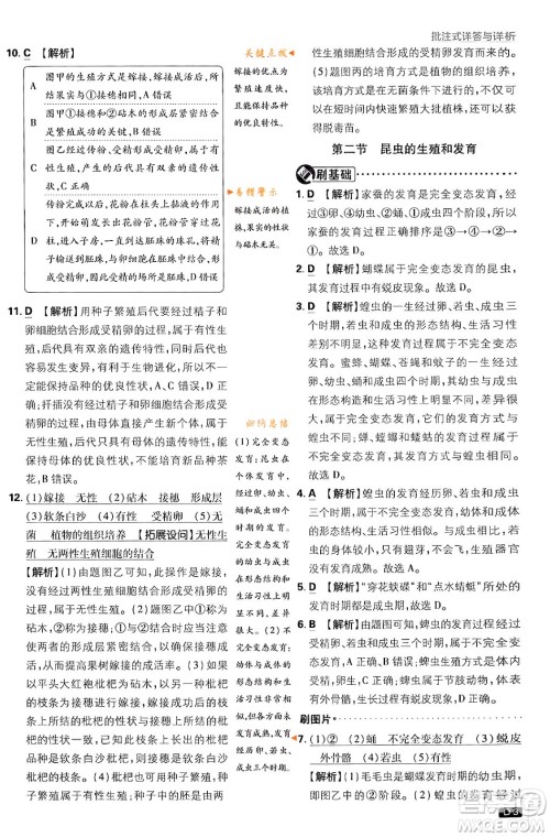 开明出版社2024年春初中必刷题八年级生物下册人教版答案 开明出版社2024年春初中必刷题八年级生物下册人教版答案