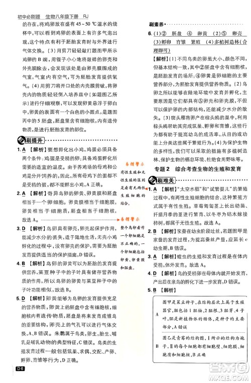 开明出版社2024年春初中必刷题八年级生物下册人教版答案 开明出版社2024年春初中必刷题八年级生物下册人教版答案