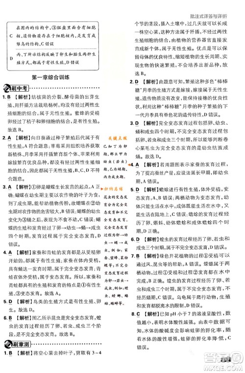 开明出版社2024年春初中必刷题八年级生物下册人教版答案 开明出版社2024年春初中必刷题八年级生物下册人教版答案