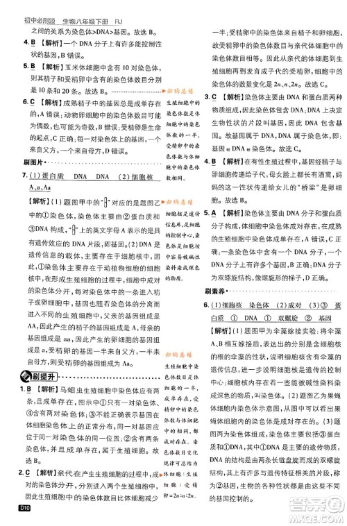 开明出版社2024年春初中必刷题八年级生物下册人教版答案
