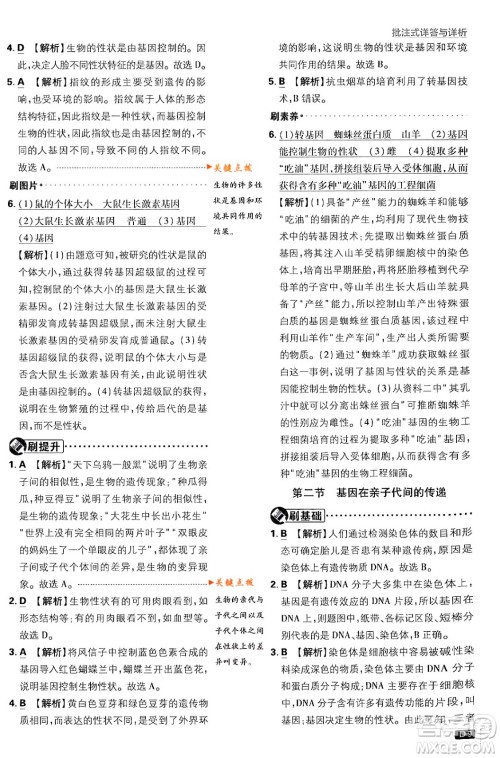 开明出版社2024年春初中必刷题八年级生物下册人教版答案 开明出版社2024年春初中必刷题八年级生物下册人教版答案