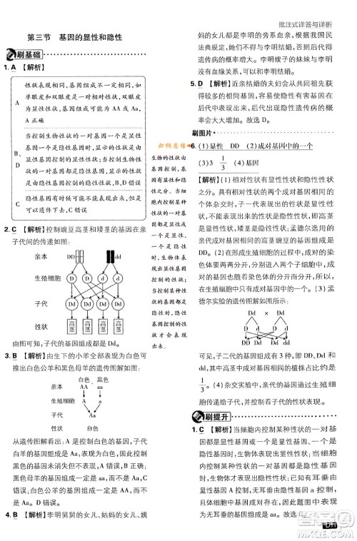 开明出版社2024年春初中必刷题八年级生物下册人教版答案