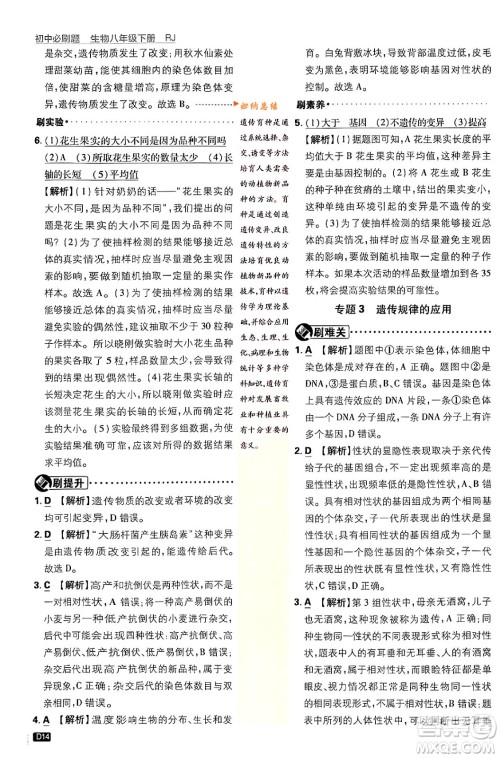 开明出版社2024年春初中必刷题八年级生物下册人教版答案 开明出版社2024年春初中必刷题八年级生物下册人教版答案