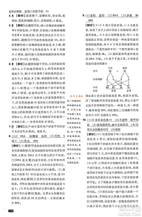 开明出版社2024年春初中必刷题八年级生物下册人教版答案