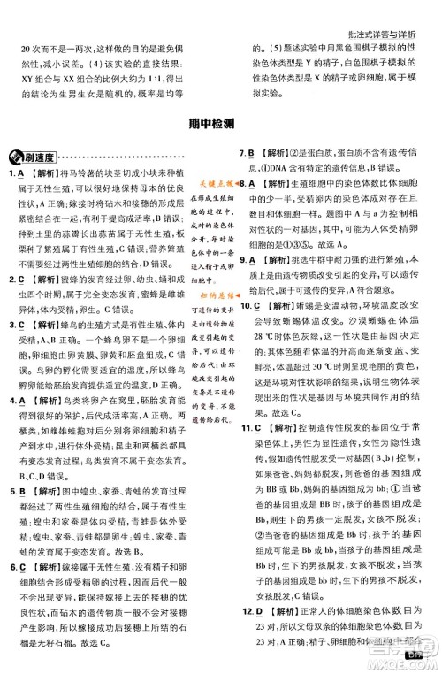 开明出版社2024年春初中必刷题八年级生物下册人教版答案 开明出版社2024年春初中必刷题八年级生物下册人教版答案