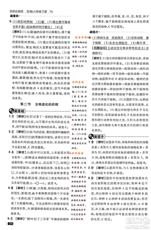 开明出版社2024年春初中必刷题八年级生物下册人教版答案 开明出版社2024年春初中必刷题八年级生物下册人教版答案