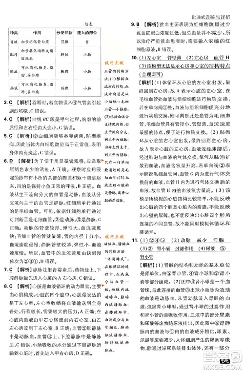 开明出版社2024年春初中必刷题八年级生物下册人教版答案 开明出版社2024年春初中必刷题八年级生物下册人教版答案