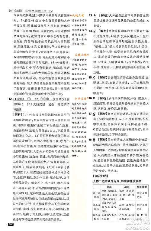 开明出版社2024年春初中必刷题八年级生物下册人教版答案 开明出版社2024年春初中必刷题八年级生物下册人教版答案