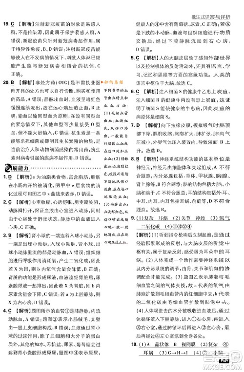 开明出版社2024年春初中必刷题八年级生物下册人教版答案 开明出版社2024年春初中必刷题八年级生物下册人教版答案