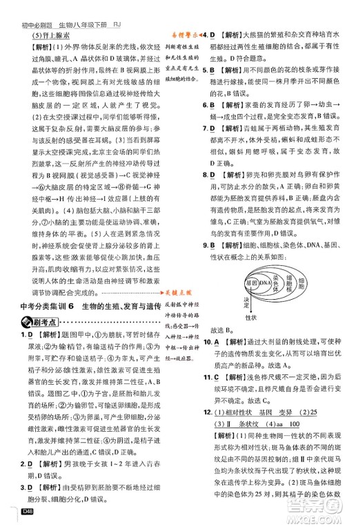 开明出版社2024年春初中必刷题八年级生物下册人教版答案 开明出版社2024年春初中必刷题八年级生物下册人教版答案
