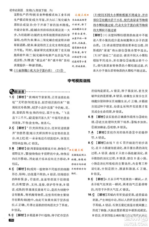 开明出版社2024年春初中必刷题八年级生物下册人教版答案 开明出版社2024年春初中必刷题八年级生物下册人教版答案