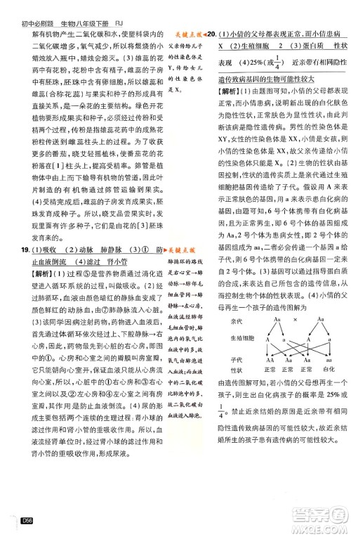 开明出版社2024年春初中必刷题八年级生物下册人教版答案