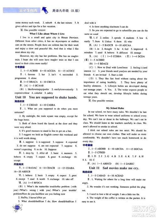 辽宁教育出版社2024年春尖子生题库九年级英语下册人教版答案
