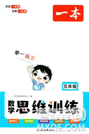 湖南教育出版社2024年春一本数学思维训练五年级数学下册通用版答案