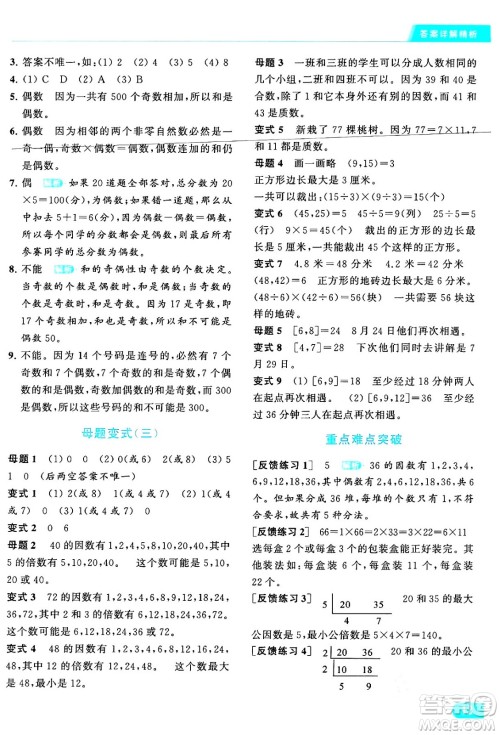 北京教育出版社2024年春亮点给力提优课时作业本五年级数学下册江苏版答案