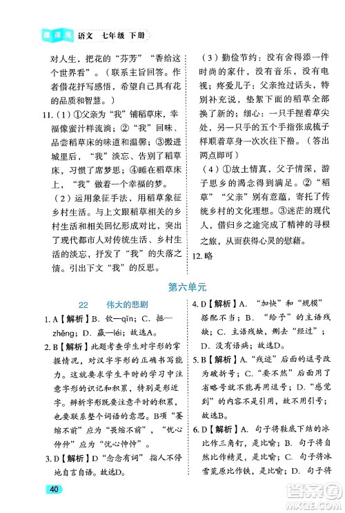 西安出版社2024年春课课练同步训练七年级语文下册人教版答案 西安出版社2024年春课课练同步训练七年级语文下册人教版答案