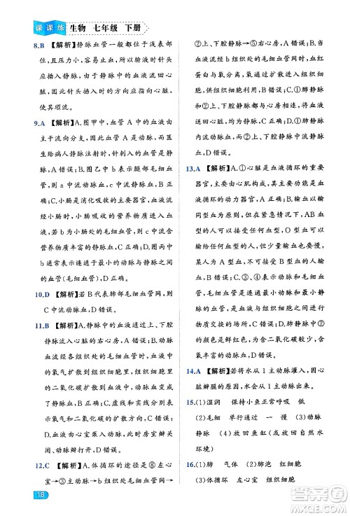 西安出版社2024年春课课练同步训练七年级生物下册人教版答案 西安出版社2024年春课课练同步训练七年级生物下册人教版答案