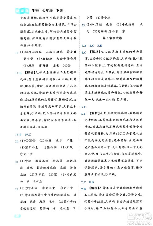 西安出版社2024年春课课练同步训练七年级生物下册人教版答案 西安出版社2024年春课课练同步训练七年级生物下册人教版答案