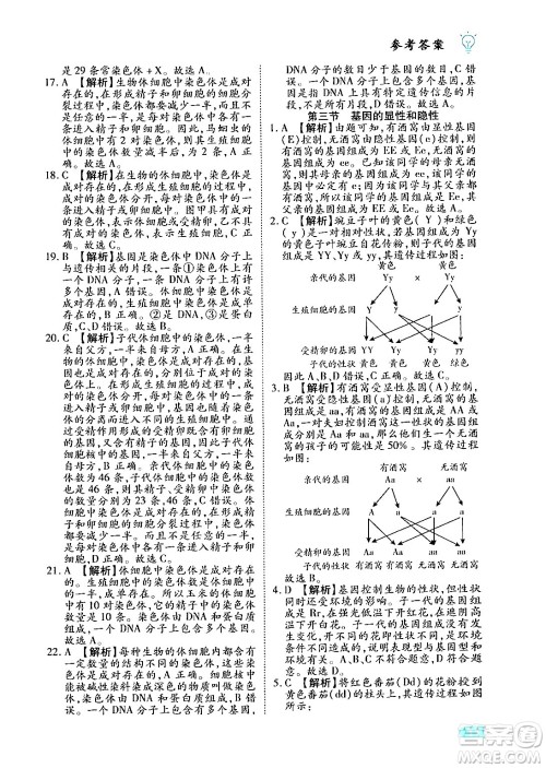 西安出版社2024年春课课练同步训练八年级生物下册人教版答案 西安出版社2024年春课课练同步训练八年级生物下册人教版答案