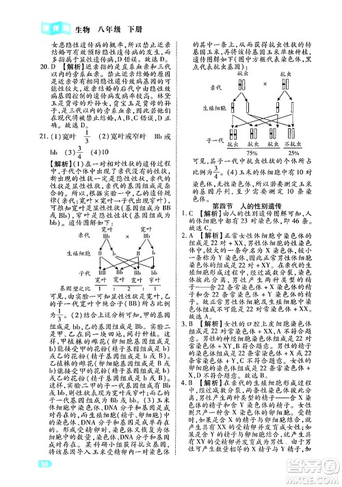 西安出版社2024年春课课练同步训练八年级生物下册人教版答案 西安出版社2024年春课课练同步训练八年级生物下册人教版答案