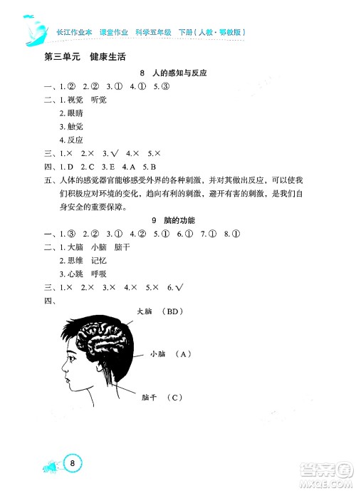 湖北教育出版社2024年春长江作业本课堂作业五年级科学下册人教鄂教版答案