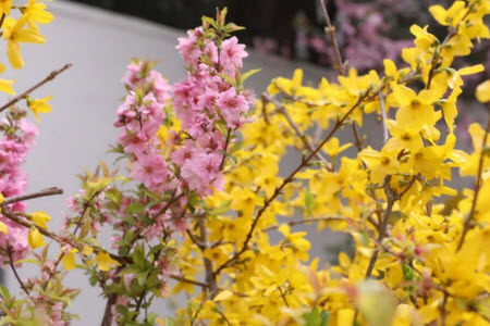 对真正的快乐的认识材料作文800字 关于对真正的快乐的认识材料作文800字 对真正的快乐的认识材料作文800字 关于对真正的快乐的认识材料作文800字