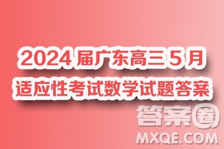 2024届广东高三5月适应性考试24508C数学试题答案
