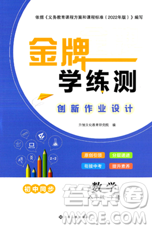 江西高校出版社2024年春金牌学练测创新作业设计八年级数学下册课标版答案