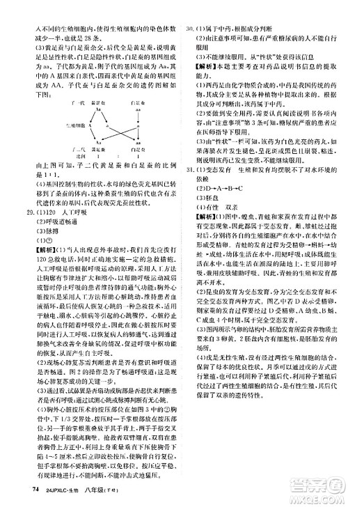 江西高校出版社2024年春金牌学练测创新作业设计八年级生物下册课标版答案 江西高校出版社2024年春金牌学练测创新作业设计八年级生物下册课标版答案