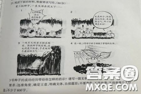 有三粒种子漫画作文800字 关于有三粒种子的漫画作文800字 有三粒种子漫画作文800字 关于有三粒种子的漫画作文800字