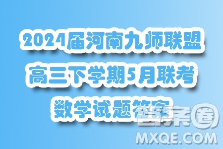 2024届河南九师联盟高三下学期5月联考数学试题答案