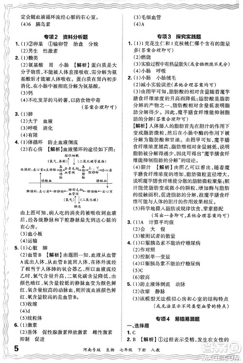江西人民出版社2024年春王朝霞各地期末试卷精选七年级生物下册人教版河南专版答案 江西人民出版社2024年春王朝霞各地期末试卷精选七年级生物下册人教版河南专版答案
