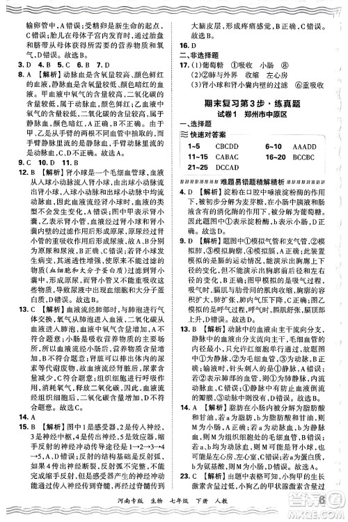 江西人民出版社2024年春王朝霞各地期末试卷精选七年级生物下册人教版河南专版答案 江西人民出版社2024年春王朝霞各地期末试卷精选七年级生物下册人教版河南专版答案