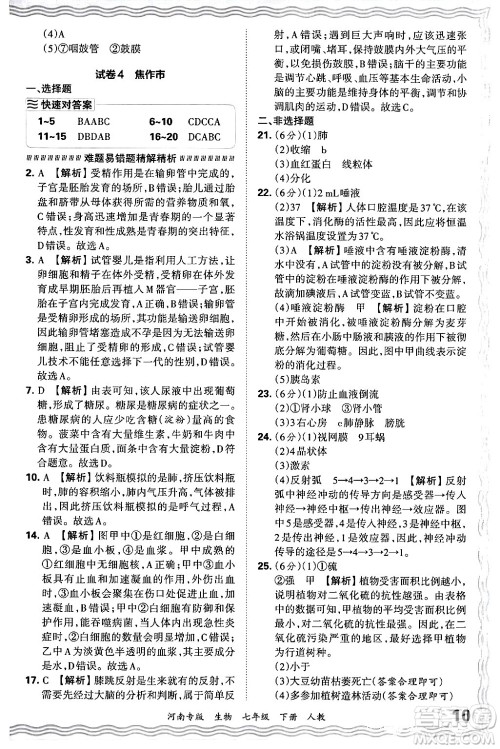 江西人民出版社2024年春王朝霞各地期末试卷精选七年级生物下册人教版河南专版答案 江西人民出版社2024年春王朝霞各地期末试卷精选七年级生物下册人教版河南专版答案