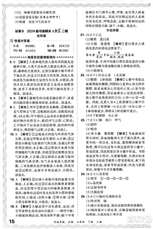 江西人民出版社2024年春王朝霞各地期末试卷精选七年级生物下册人教版河南专版答案 江西人民出版社2024年春王朝霞各地期末试卷精选七年级生物下册人教版河南专版答案