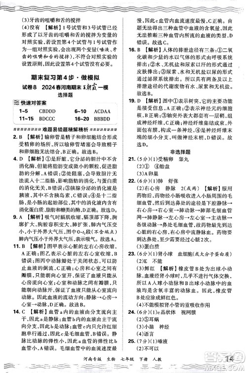 江西人民出版社2024年春王朝霞各地期末试卷精选七年级生物下册人教版河南专版答案 江西人民出版社2024年春王朝霞各地期末试卷精选七年级生物下册人教版河南专版答案