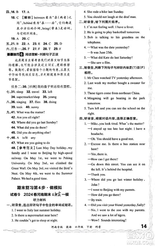 江西人民出版社2024年春王朝霞各地期末试卷精选六年级英语下册科普版河南专版答案