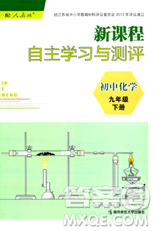 南京师范大学出版社2024年春新课程自主学习与测评九年级化学下册人教版答案 南京师范大学出版社2024年春新课程自主学习与测评九年级化学下册人教版答案