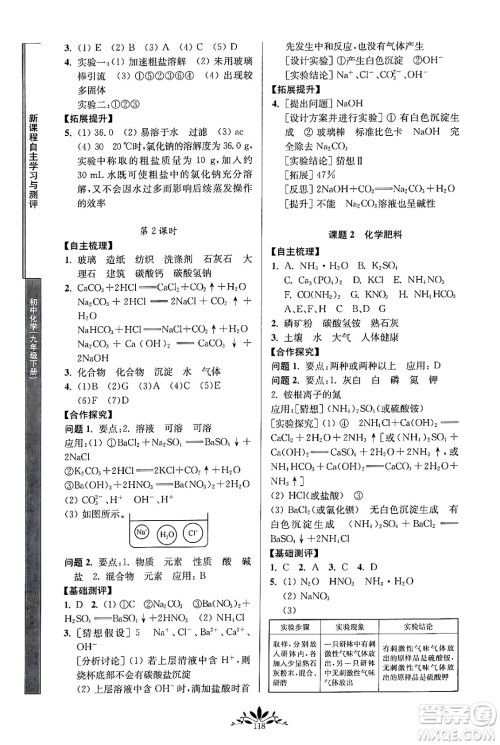 南京师范大学出版社2024年春新课程自主学习与测评九年级化学下册人教版答案 南京师范大学出版社2024年春新课程自主学习与测评九年级化学下册人教版答案