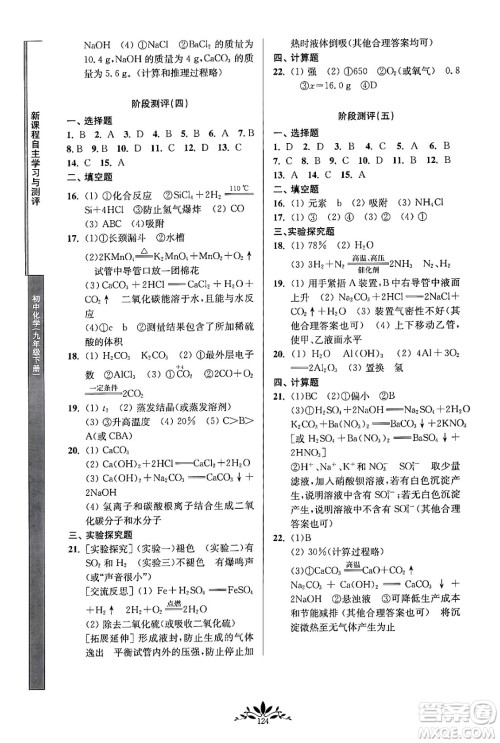 南京师范大学出版社2024年春新课程自主学习与测评九年级化学下册人教版答案 南京师范大学出版社2024年春新课程自主学习与测评九年级化学下册人教版答案