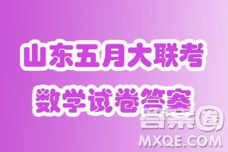 山东智慧上进2024届高三下学期5月大联考数学试题答案