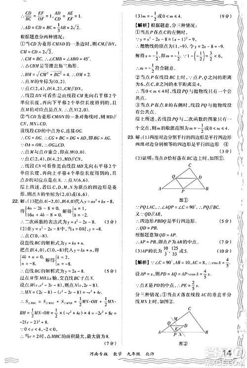 江西人民出版社2024年春王朝霞各地期末试卷精选九年级数学下册北师大版河南专版答案